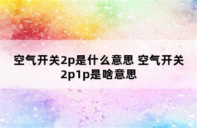 空气开关2p是什么意思 空气开关2p1p是啥意思